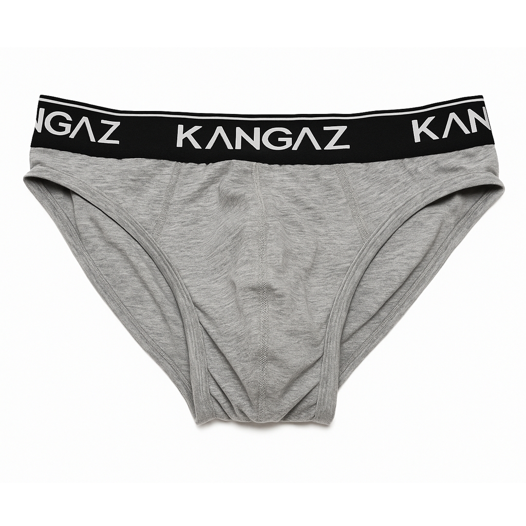 Mens Brief - Dash - Grey